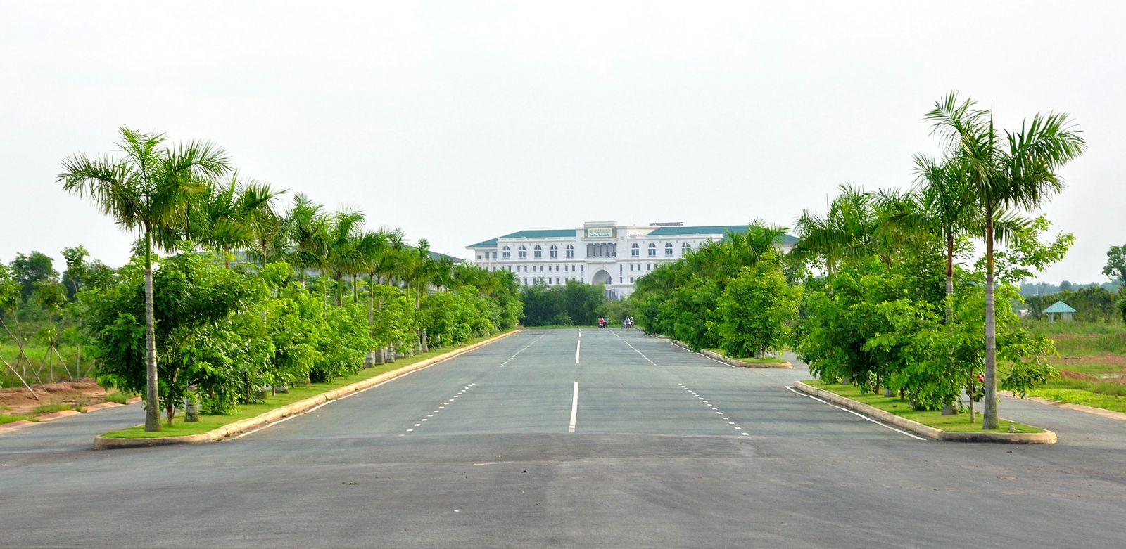 Đại học Tân Tạo